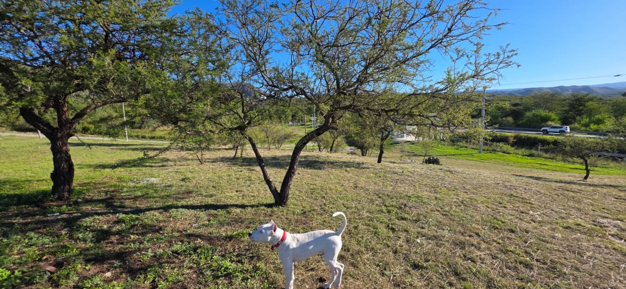 lote en venta - Las Jarillas del Bosque | San Antonio de Arredondo